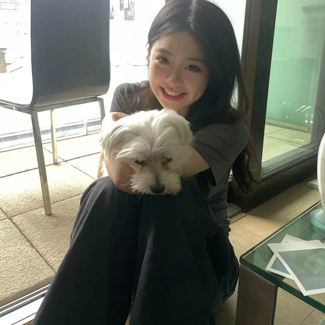 茱莉小姐 海报